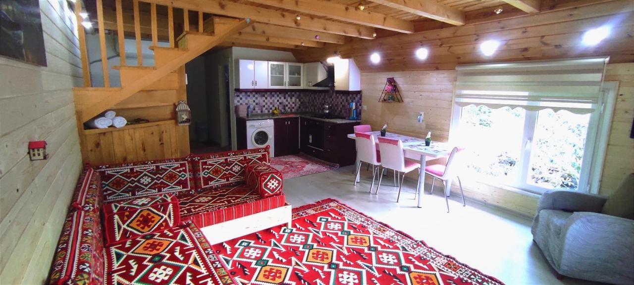 Çamlıhemşin Naturel Apart Bungalow 빌라 외부 사진